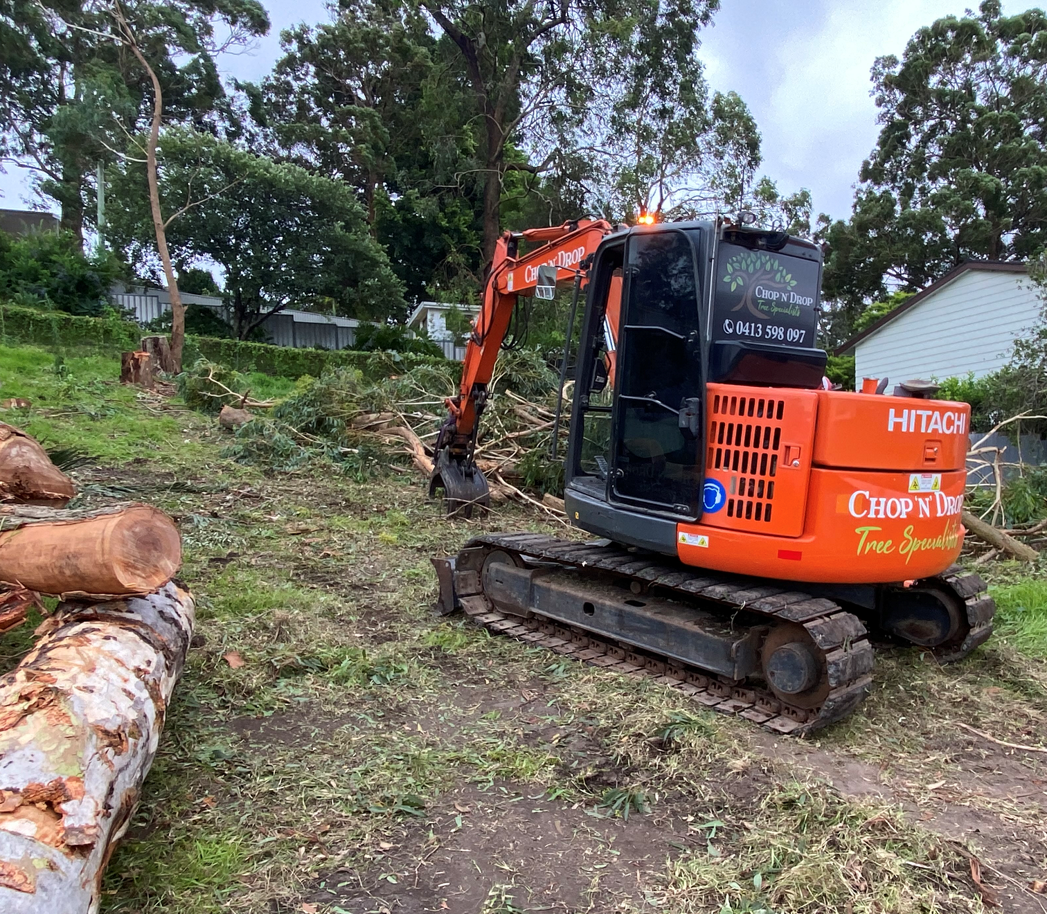 Tree Removal Newcastle