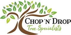 Chop N Drop Tree Specialists